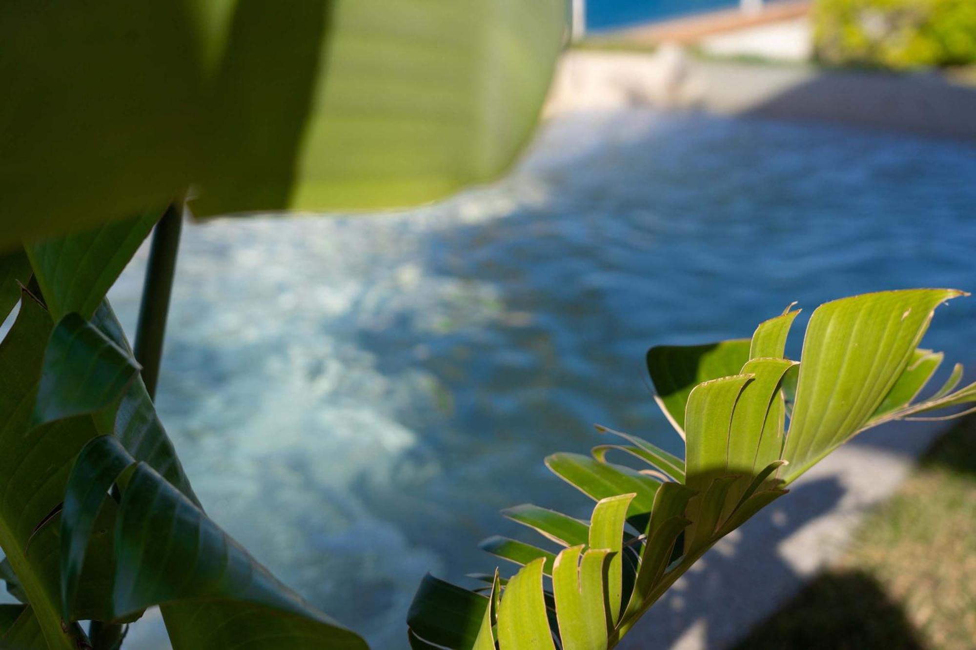 Villa Zagara Garden Spectacular Sea View In ตาออร์มินา ภายนอก รูปภาพ